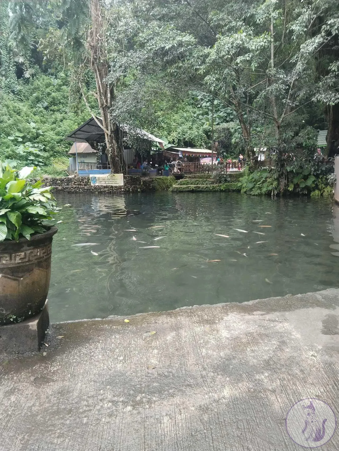 area mata air di senjoyo